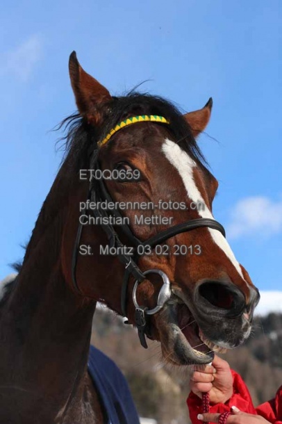 ET0Q0659 prot